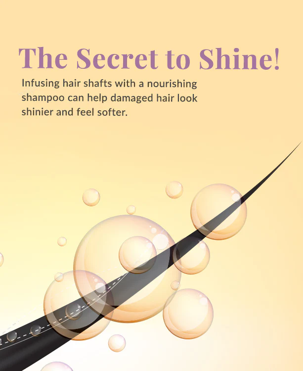 Light & Smooth Shampoo - Image 3
